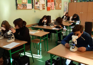 Obserwacja przez mikroskopy