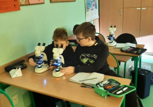 Obserwacja przez mikroskopy nasion