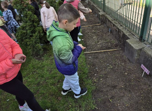 Chłopiec sieje nasiona na terenie ogrodu szkolnego
