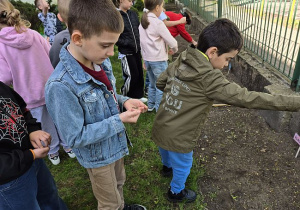 Chłopcy sieją nasionka w ramach projektu Aktywni Błękitni