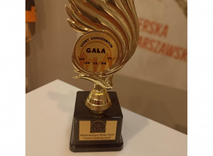 Miniaturka statuetki Wolontariusza Roku 2025