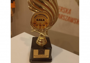 Zdjęcie przedstawia statuetkę Wolontariusza Roku 2025 "Laury Zasłużonych"