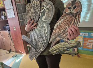 Noc Sów – niezwykłe spotkanie z przyrodą